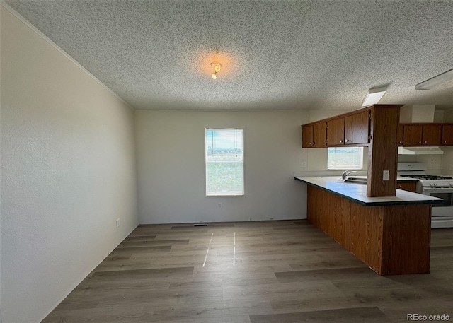 15125 Ewing Ct, Peyton, CO 80831 - kitchen with white gas stove, a textured ceiling, a peninsula, under cabinet range hood, and light wood finished floors