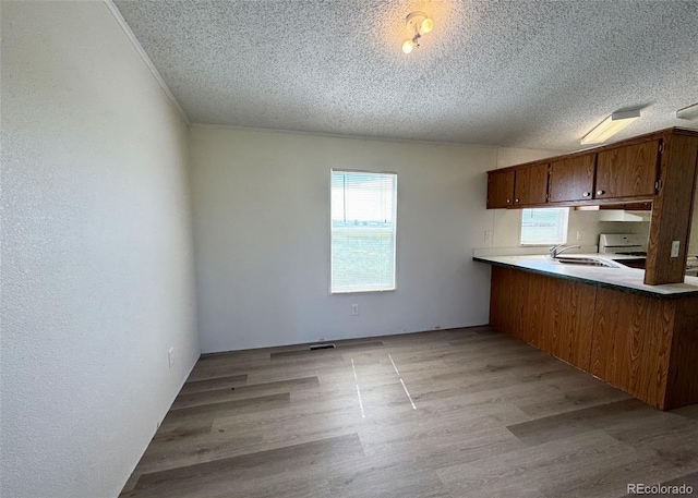 15125 Ewing Ct, Peyton, CO 80831 - kitchen featuring a textured ceiling, healthy amount of natural light, brown cabinets, light wood-style floors, and gas range gas stove