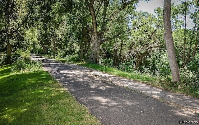 9340 E Center Ave Unit 1A, Denver, CO 80247 - view of road with a wooded view