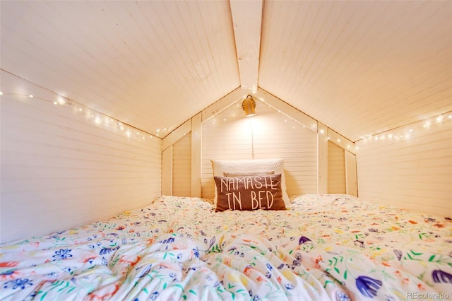 111 W Buckskin Rd, Alma, CO 80420 - photo 24