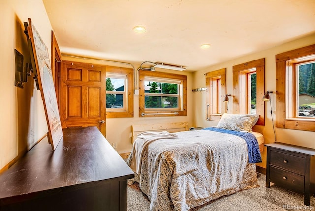 111 W Buckskin Rd, Alma, CO 80420 - photo 28