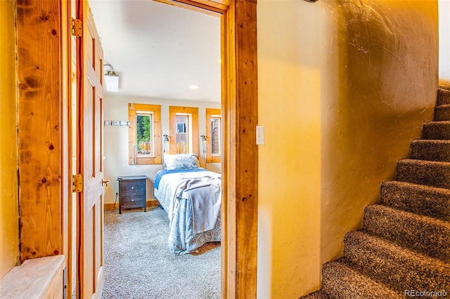 111 W Buckskin Rd, Alma, CO 80420 - photo 30