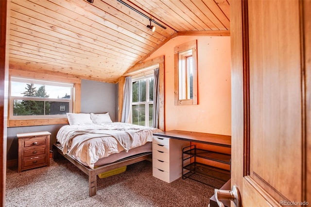 111 W Buckskin Rd, Alma, CO 80420 - photo 31