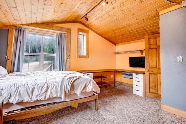 111 W Buckskin Rd, Alma, CO 80420 - photo 32