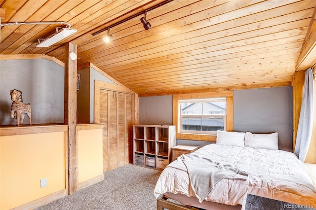 111 W Buckskin Rd, Alma, CO 80420 - photo 33