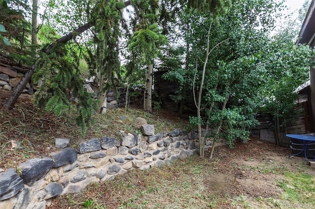 111 W Buckskin Rd, Alma, CO 80420 - photo 35