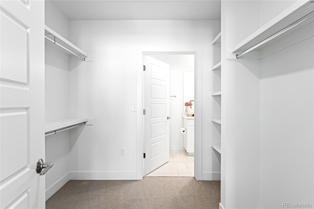 walk in closet with carpet floors