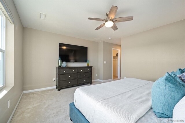 carpeted bedroom with ceiling fan and a walk in closet