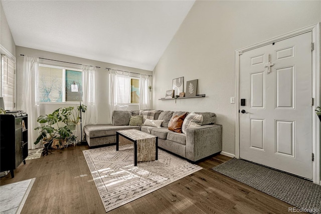 970 S Dawson Way Unit 10, Aurora, CO 80012 - living area featuring dark wood-type flooring and high vaulted ceiling