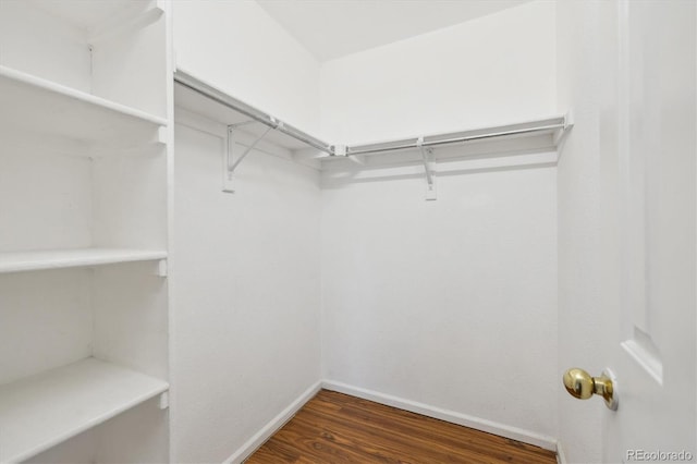 spacious closet with wood finished floors