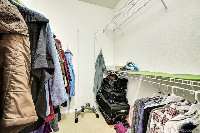 walk in closet featuring carpet floors