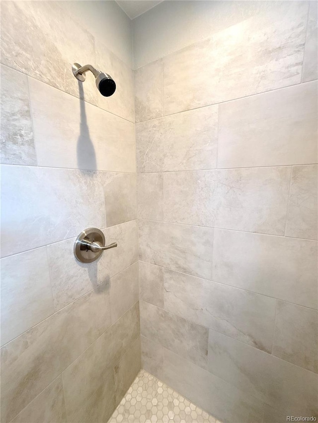 room details featuring tiled shower