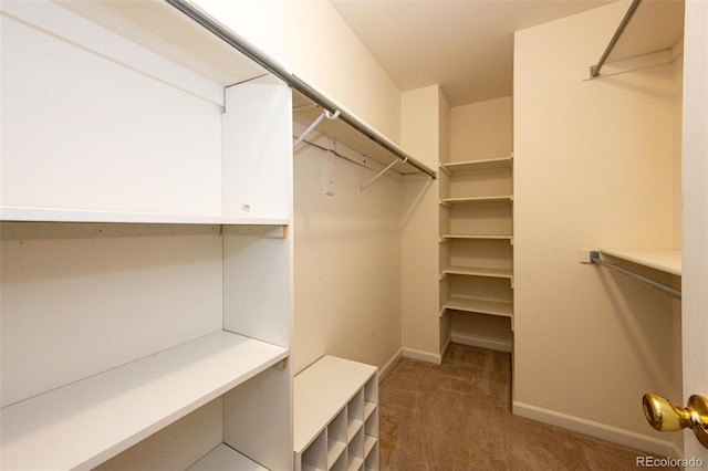 walk in closet featuring dark colored carpet