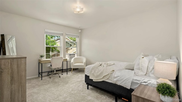 2918 Silverplume Dr Unit C1, Fort Collins, CO 80526 - carpeted bedroom with baseboards