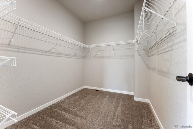 1849 Clayhouse Dr, Colorado Springs, CO 80921 - photo 17