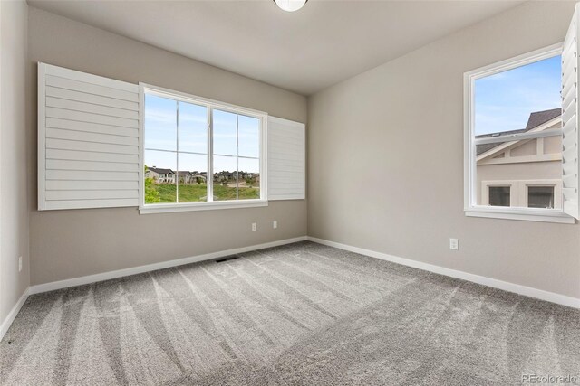 1849 Clayhouse Dr, Colorado Springs, CO 80921 - photo 19