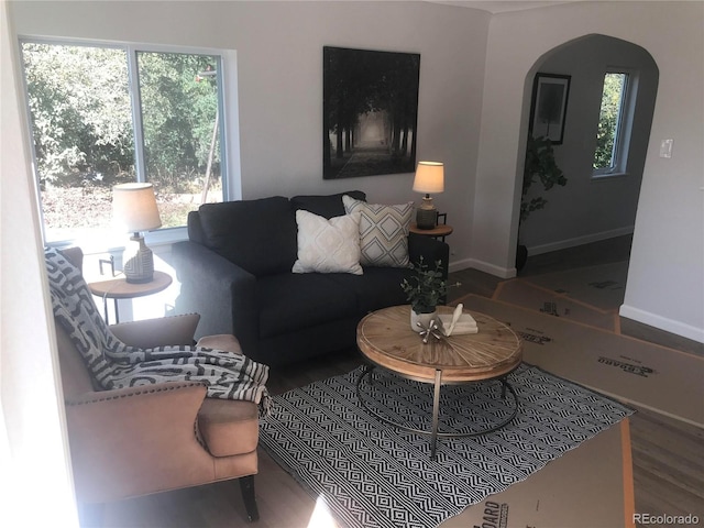 living room with hardwood / wood-style flooring