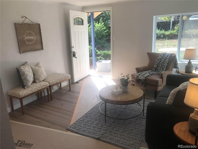 living room with hardwood / wood-style flooring