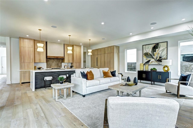 living room featuring light hardwood / wood-style flooring