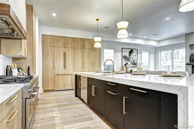 kitchen with stainless steel appliances, light hardwood / wood-style flooring, decorative light fixtures, light stone countertops, and custom range hood