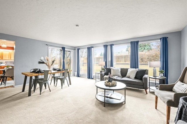 living room with a textured ceiling, baseboards, and light colored carpet