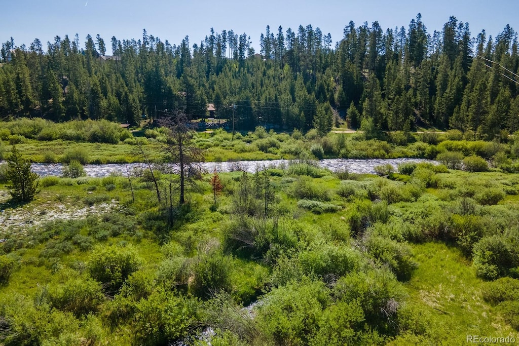 433 Gcr 464, Grand Lake, CO 80447 - photo 4