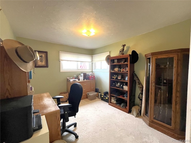 office space with carpet and a textured ceiling