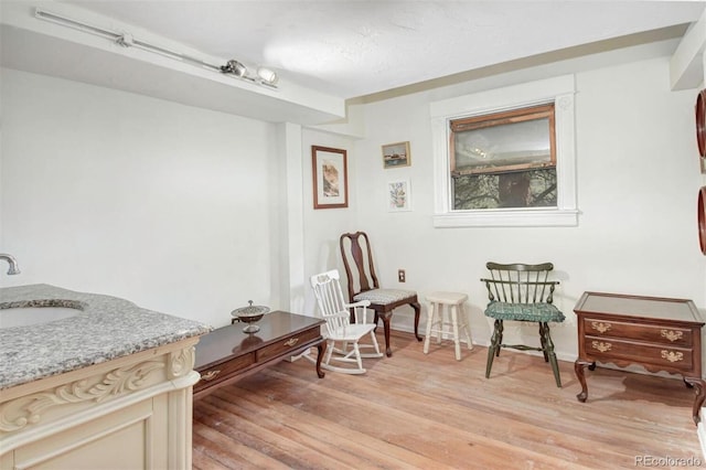 living area featuring light wood-style flooring