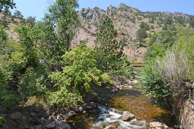 view of local wilderness with a view of trees