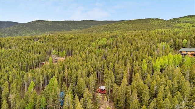 154 Apache Rd, Evergreen, CO 80439 - photo 20