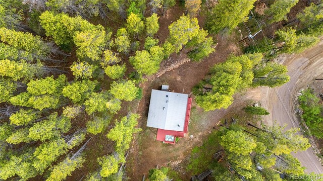 154 Apache Rd, Evergreen, CO 80439 - photo 18