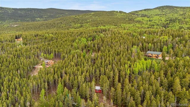 154 Apache Rd, Evergreen, CO 80439 - photo 21