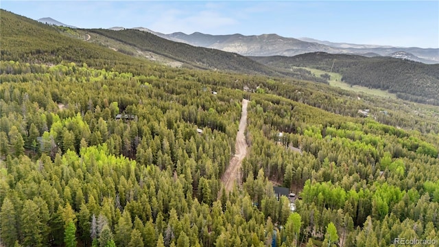 154 Apache Rd, Evergreen, CO 80439 - photo 22