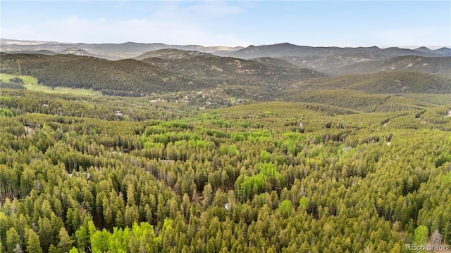 154 Apache Rd, Evergreen, CO 80439 - photo 23