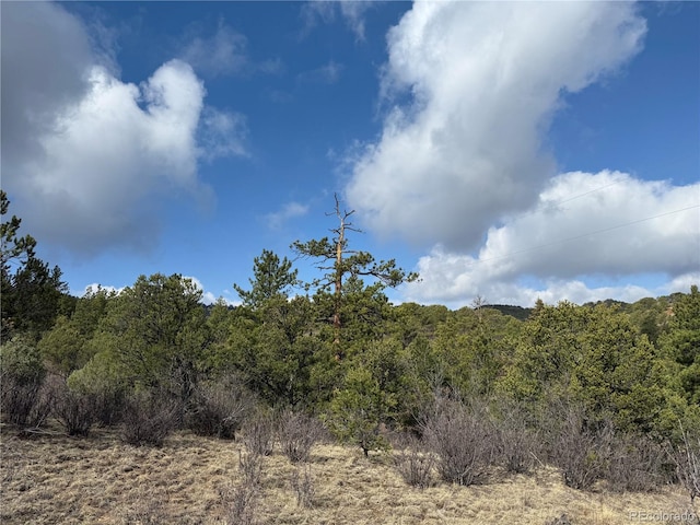 3152 Chris Crossover, Canon City, CO 81212