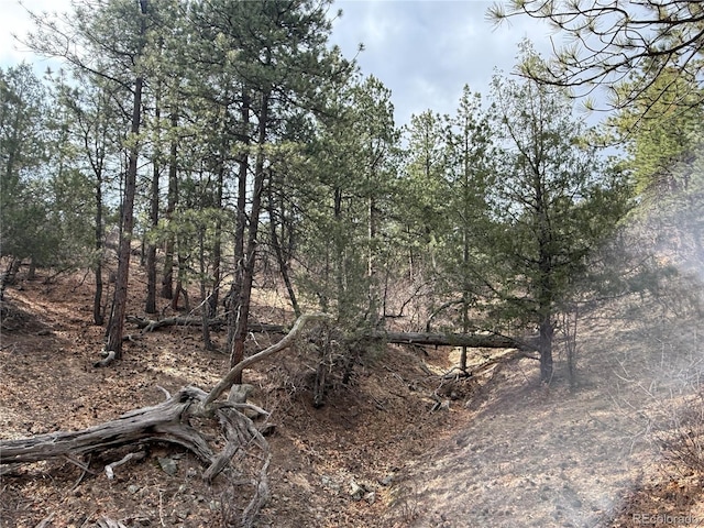 3152 Chris Crossover, Canon City, CO 81212
