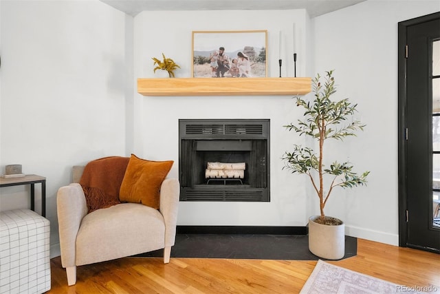 living area featuring a large fireplace and wood-type flooring