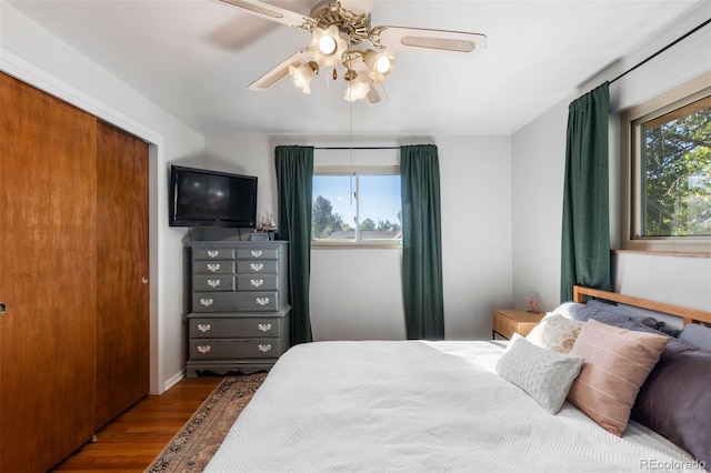 bedroom featuring multiple windows, wood-type flooring, a closet, and ceiling fan