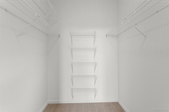 7440 S Blackhawk St Unit 207, Englewood, CO 80112 - spacious closet with carpet flooring
