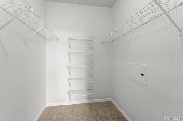 7440 S Blackhawk St Unit 207, Englewood, CO 80112 - spacious closet featuring carpet flooring