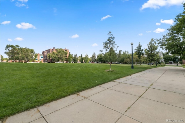 view of community with a lawn