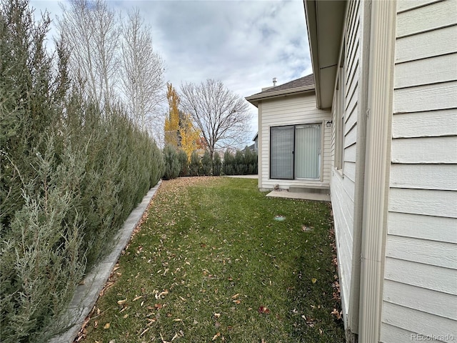 view of yard featuring a patio area