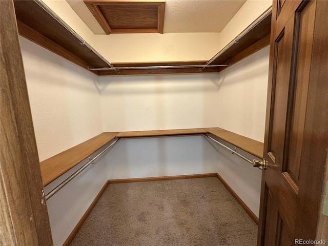 spacious closet with carpet