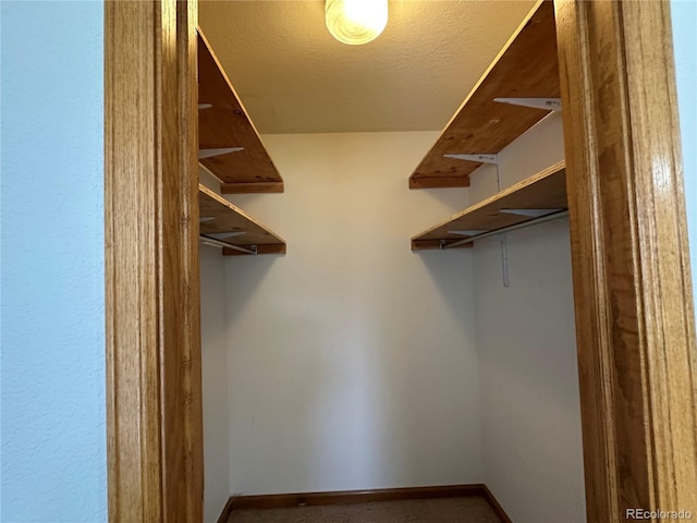 view of walk in closet