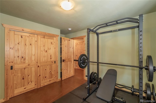 344 Puma Pl, Fairplay, CO 80440 - view of workout area