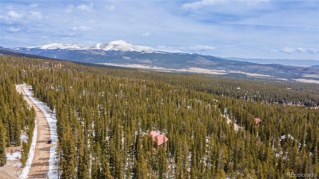 344 Puma Pl, Fairplay, CO 80440 - view of mountain background featuring a forest