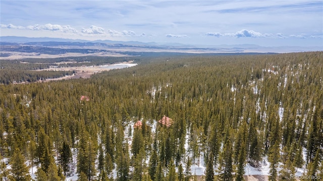 344 Puma Pl, Fairplay, CO 80440 - photo 40