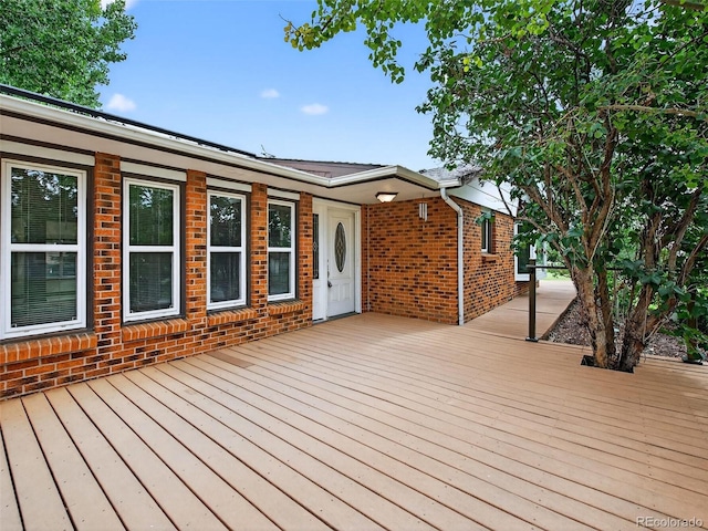 4822 Flora Ct, Golden, CO 80403 - photo 2