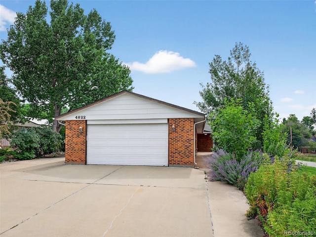 4822 Flora Ct, Golden, CO 80403 - photo 4