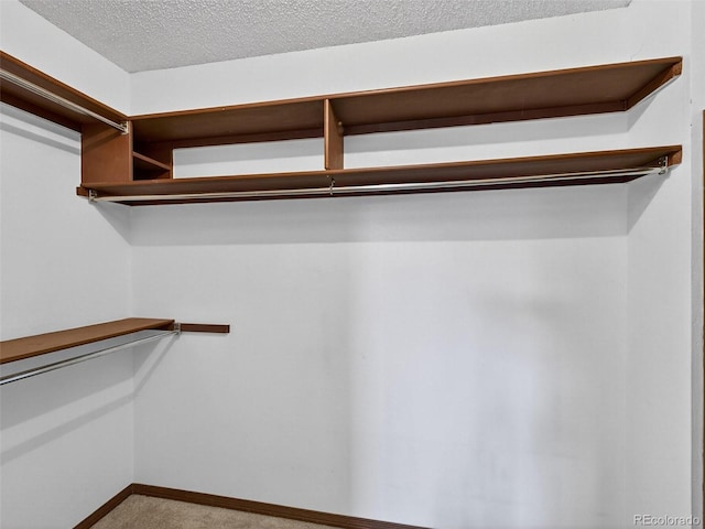 4822 Flora Ct, Golden, CO 80403 - photo 18